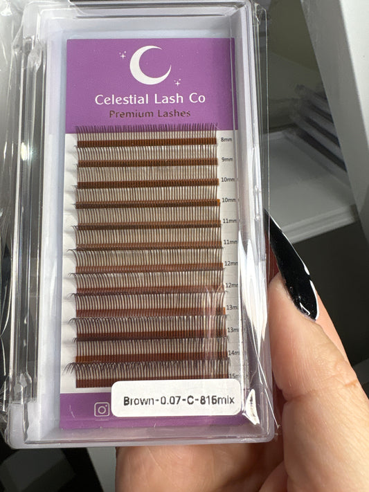 Wet Look Lashes - Brown