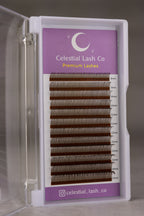 Wet Look Lashes - Brown