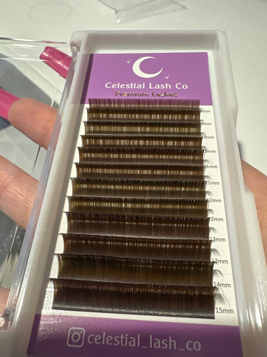 Dark Brown Flat Lashes