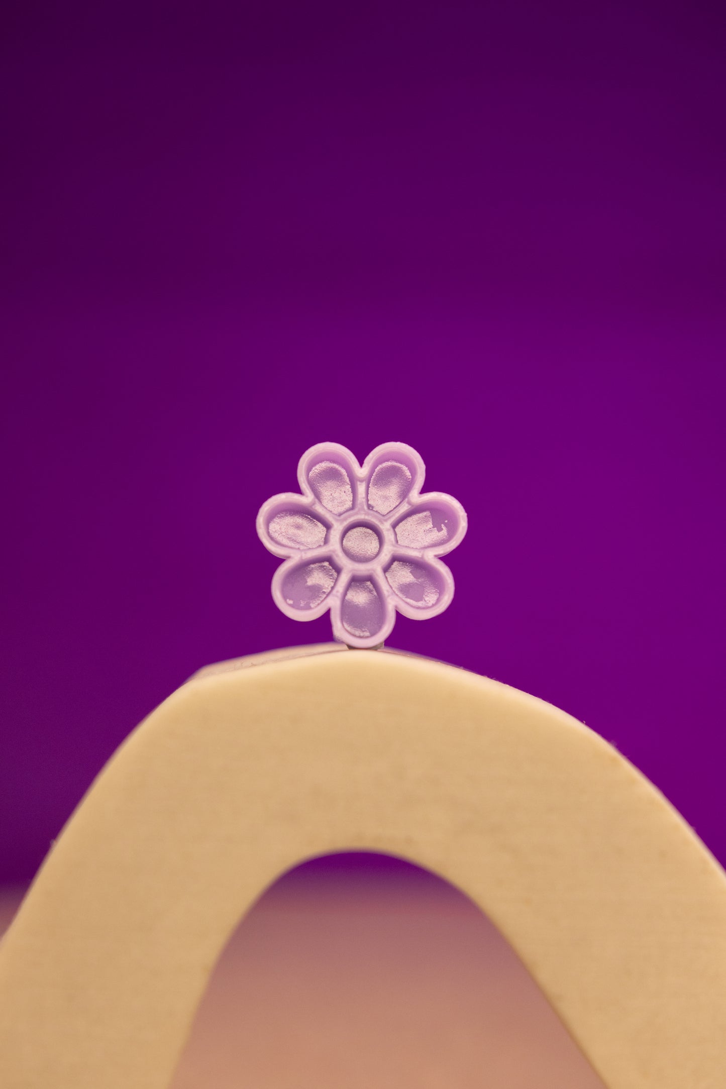 Purple Glue Flowers