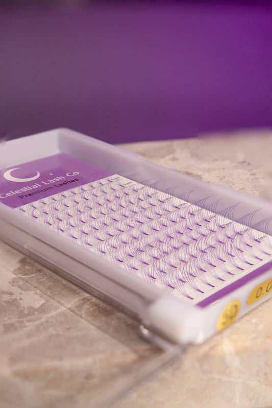 Purple 5D Short Stem D Curl